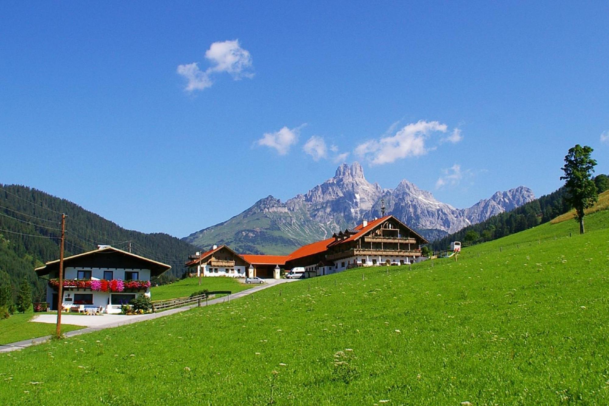 Pilzhof Apartment